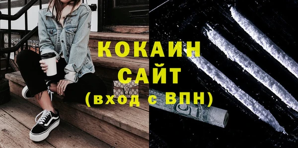дживик Пересвет