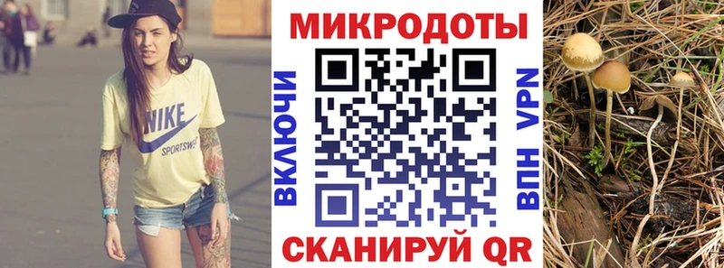 Псилоцибиновые грибы мухоморы  как найти закладки  KRAKEN ссылки  Бобров 