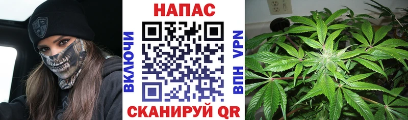 МЕГА ONION  Бобров  Бошки марихуана Amnesia  даркнет сайт 